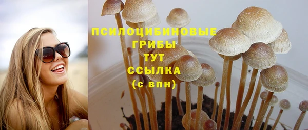 дживик Алексин