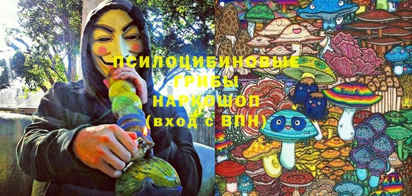 прущие крисы Алзамай