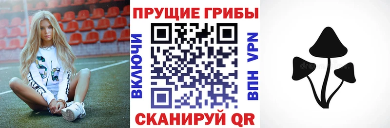 цена кракен как зайти Галлюциногенные грибы Psilocybine cubensis Йошкар-Ола